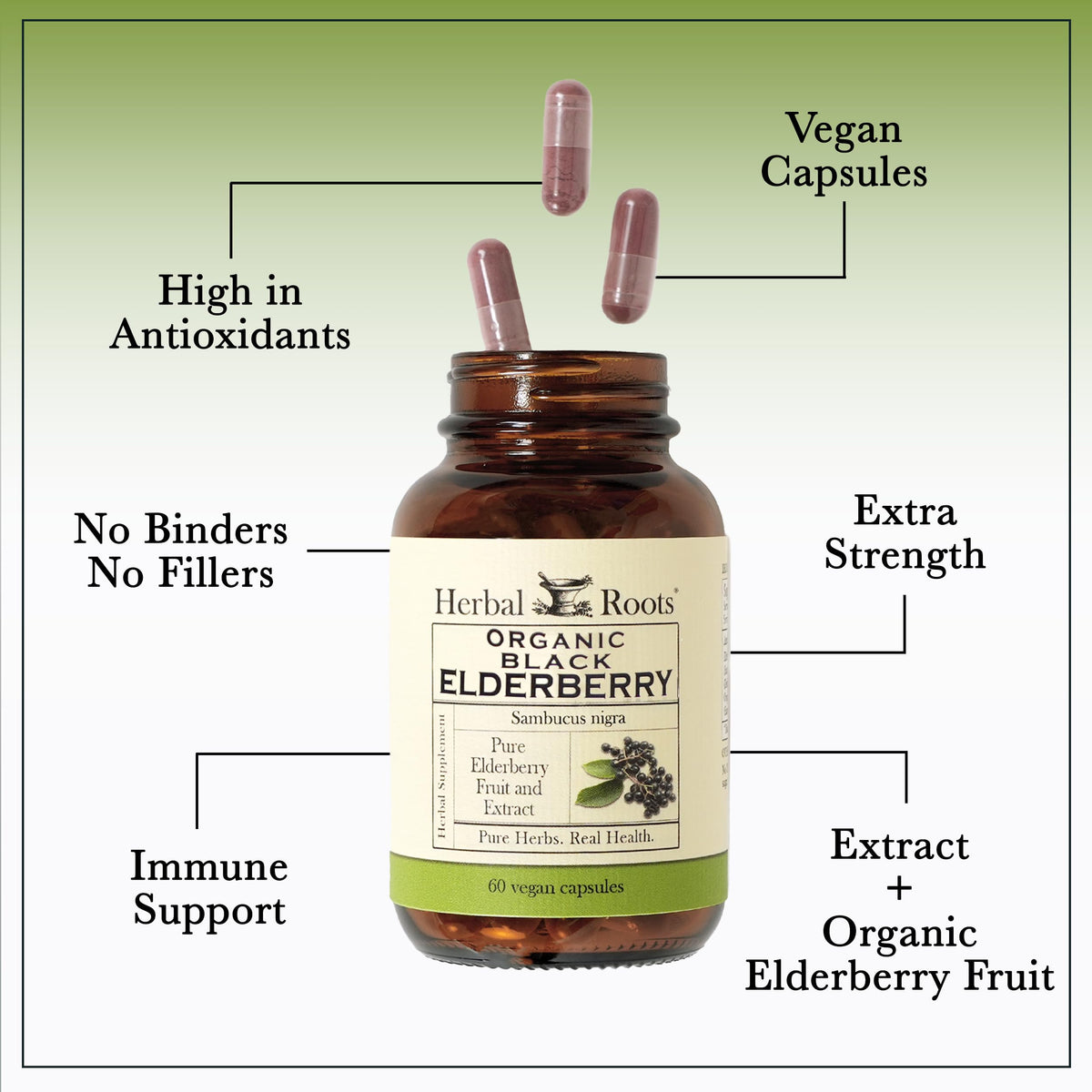 Herbal Roots Organic Black Elderberry Capsules - Max Strength - USDA Certified Organic - Immune Support - 60 Vegan Capsules