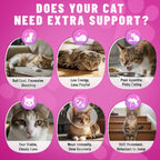Taurine for Cats Vitamins, 15 in 1 Cat Multivitamin Immune Support, 500ct