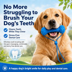 Dual-Action Canine Dental Prop, Dog Dental Chew Toy for Easier Teeth Brushing, Premium Pet Oral Care Accessory Perfect for Small Medium and Large Size Dogs (2PCS)