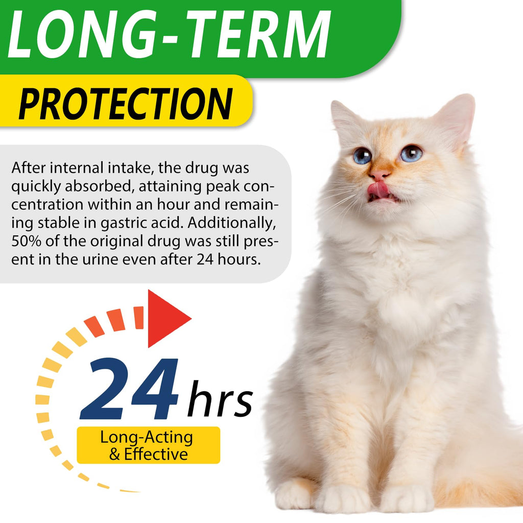 Antibiotics for Cats, Natural Antibiotic Pet Supplements Supports Immune & Cats Allergy Relief, Cat Multivitamin UTI Drops for All Ages & Breeds of Cat, Chicken Flavour - 2 Fl Oz / 1 Pack