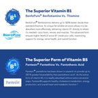 BioActive Vitamin B Complex - Blood Stream Ready, Methylated B Complex - Featuring Methylfolate, 3 BioActive Forms of B12, BenfoPure® B1 & Pantesin® B5 - 12 B Vitamins in Clinical Doses - 60 Servings