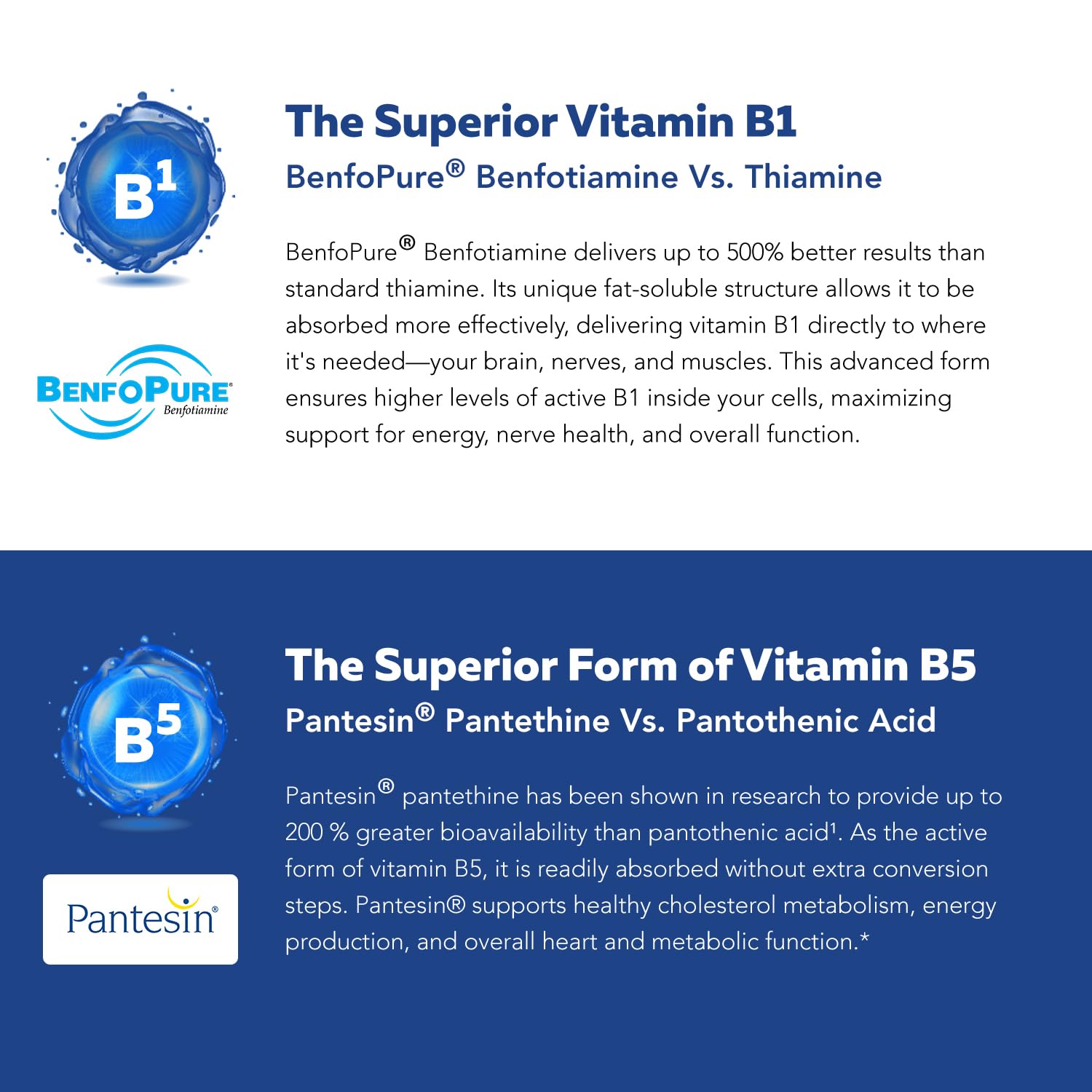 BioActive Vitamin B Complex - Blood Stream Ready, Methylated B Complex - Featuring Methylfolate, 3 BioActive Forms of B12, BenfoPure® B1 & Pantesin® B5 - 12 B Vitamins in Clinical Doses - 60 Servings