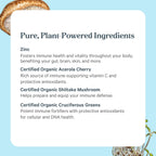 PURE SYNERGY Zinc Complex Immune Support Supplement (60 Capsules)