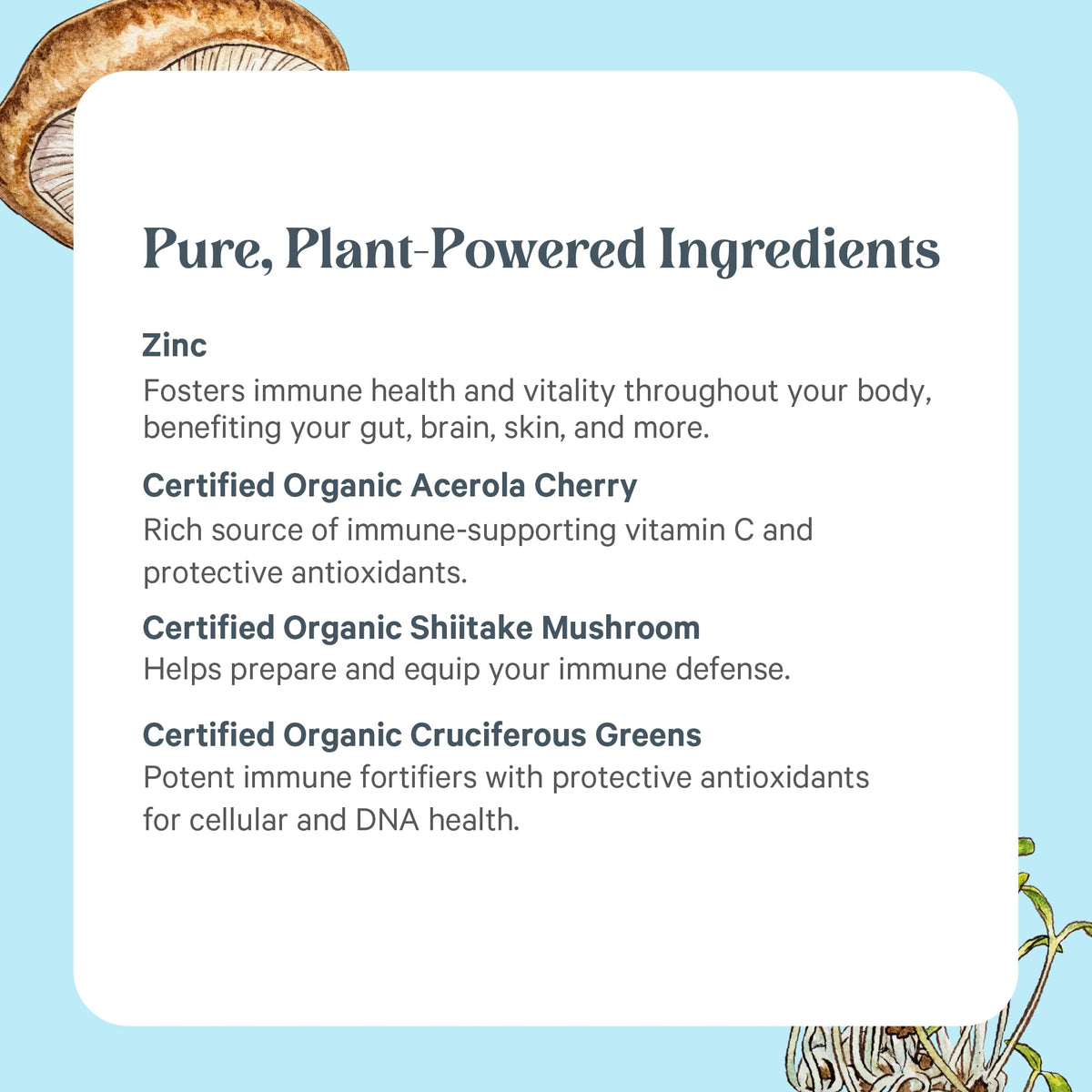 PURE SYNERGY Zinc Complex Immune Support Supplement (60 Capsules)