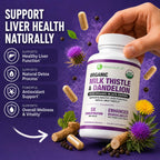 Max Absorption USDA Organic Milk Thistle Potent 5:1 Concentrated Extract (2000mg Strength) & Organic Dandelion Root | Silymarin Antioxidant Flavonoid | Liver Support Supplement (60 Count (Pack of 1))