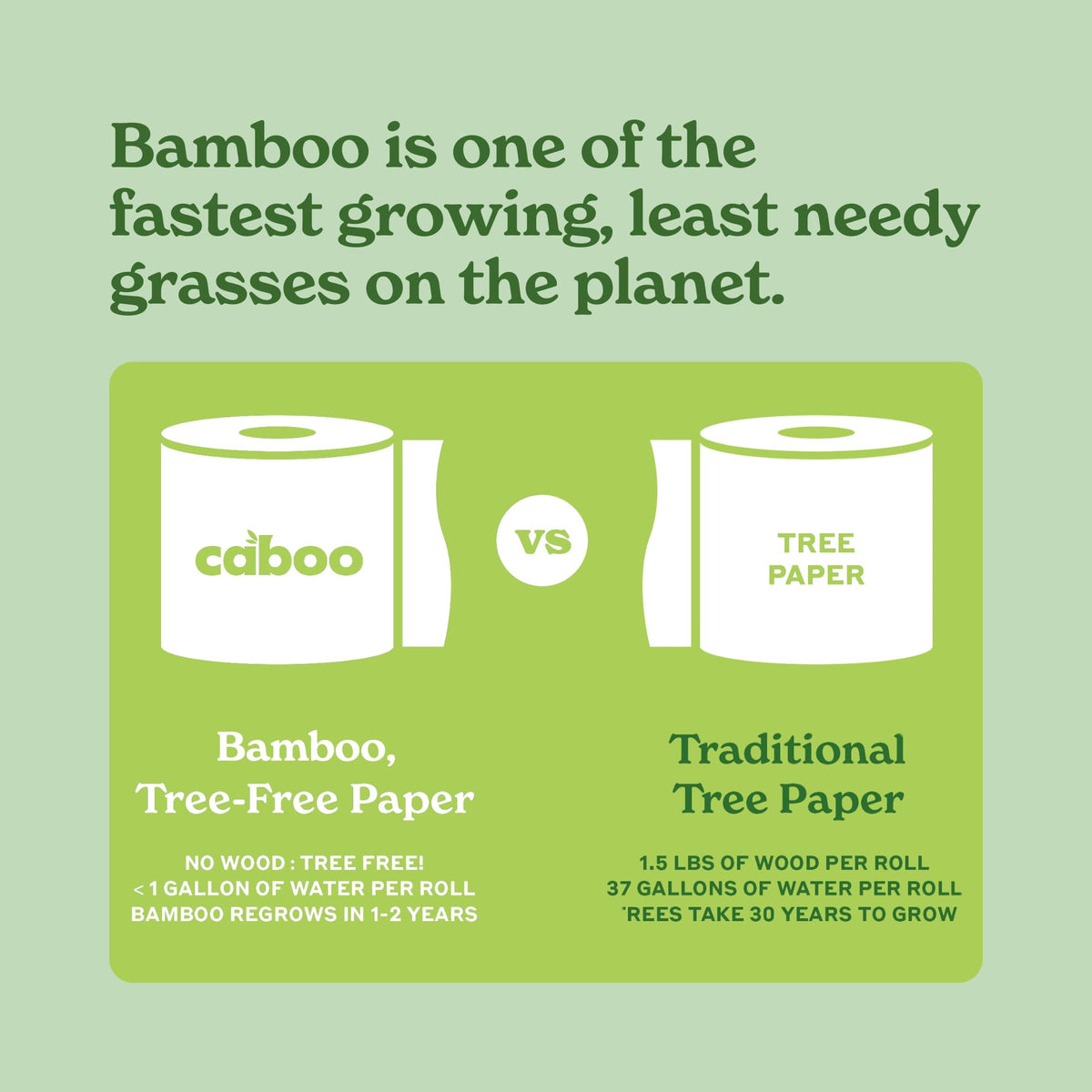 Caboo Tree Free Toilet Paper, Unbleached, Plastic Free, 12 Rolls