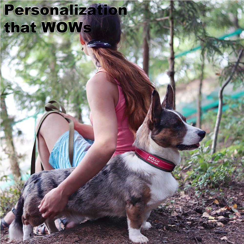 Personalized Dog Collar with Name and Number for Large Medium Small Dogs