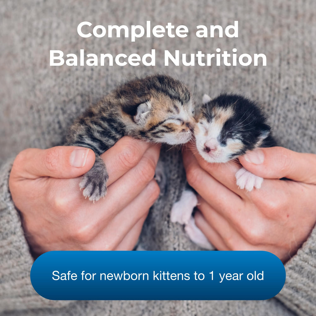 Pet-Ag KMR Kitten Milk Replacer Powder - 12 oz - Powdered Kitten Formula with Prebiotics, Probiotics & Vitamins for Kittens Newborn to Six Weeks Old - Easy to Digest