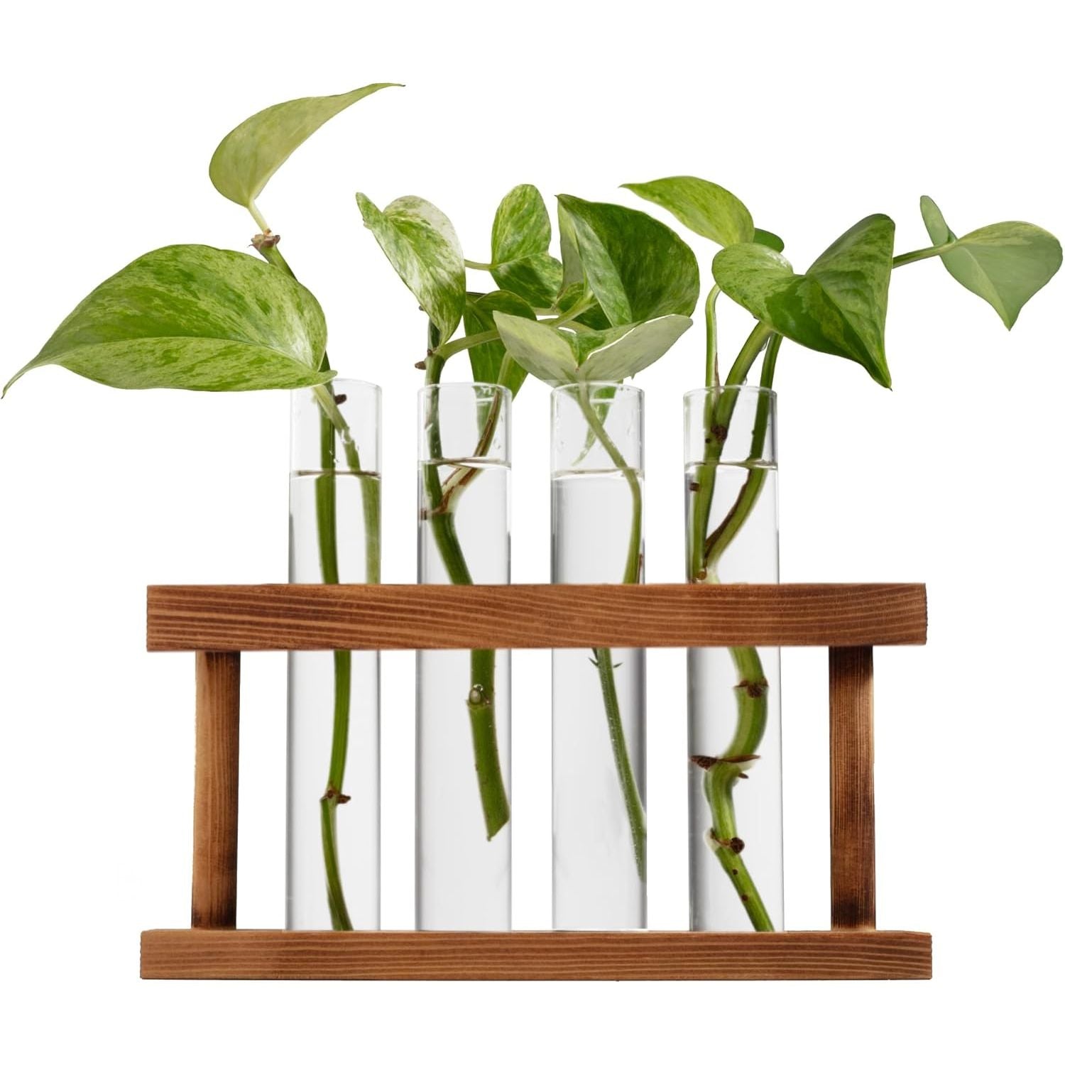 Buy now Christmas Tree Glass Terrarium- 8" Festive Planter for Holiday Home Decor- Add Xmas Cheer w DIY Succulents, Lights & Ornaments- Tabletop Centerpiece or Mantel, Office Decorations- Plant Lovers Gift Propagation Station at indiglob india