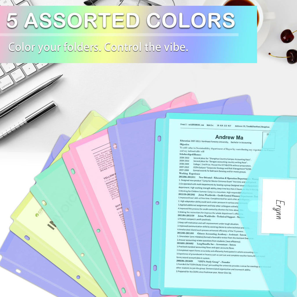 Binder Pocket, 10 Pack Super Heavyweight Plastic Folders for 3 Ring Binder, Folders with Pockets Side Loading, Binder Pouch with Label Expandable, Letter Size, Pastel Colors