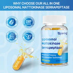 Liposomal Nattokinase 12,000 FU Serrapeptase 360,000 SPU Enzyme Supplement | Enriched with Synergistic Enzymes and Nutrient Blend & Inulin for Circulatory, Gut, Digestion 60 Capsules (2 Bottle)