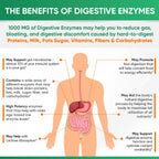 Wholesome Wellness Digestive Enzymes 1000MG Plus Prebiotics & Probiotics Supplement, 180 Capsules, Organic Plant-Based Vegan Formula for Digestion & Lactose with Amylase & Bromelain,3-6 Months Supply