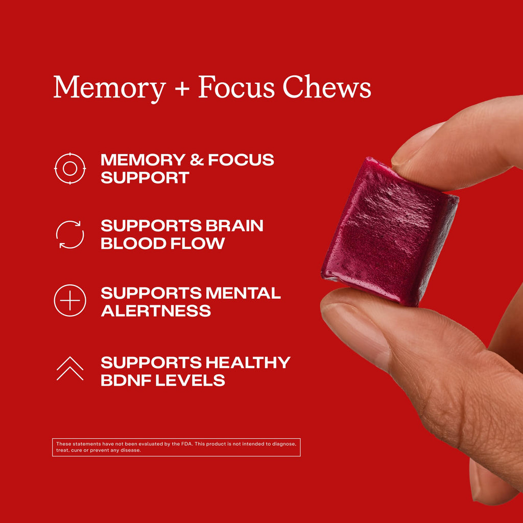 HumanN Memory + Focus Chews, Cognitive, Blueberry Pomegranate Flavor, 30 Ct | Mental Alertness, Non-GMO, Clinically Studied Nootropics, Fermented Resveratrol & Beet Juice Powder, For Adults, Made in USA