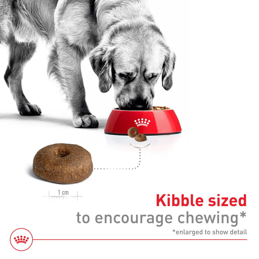 Royal Canin Size Health Nutrition Large Aging 8+ Senior Dry Dog Food, 30 lb Bag