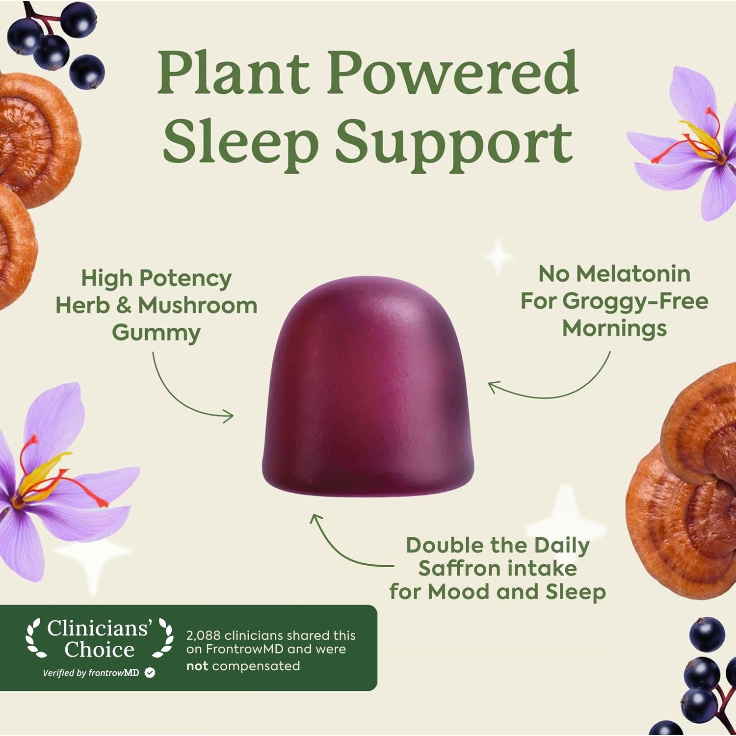 Plant People WonderSleep Mushroom Gummies Supplement for Sleep, 60ct | No Melatonin Sleep Gummies with Reishi Mushroom, Saffron & Chamomile, Wild Elderberry Flavor, Sugar-Free (60 Count)