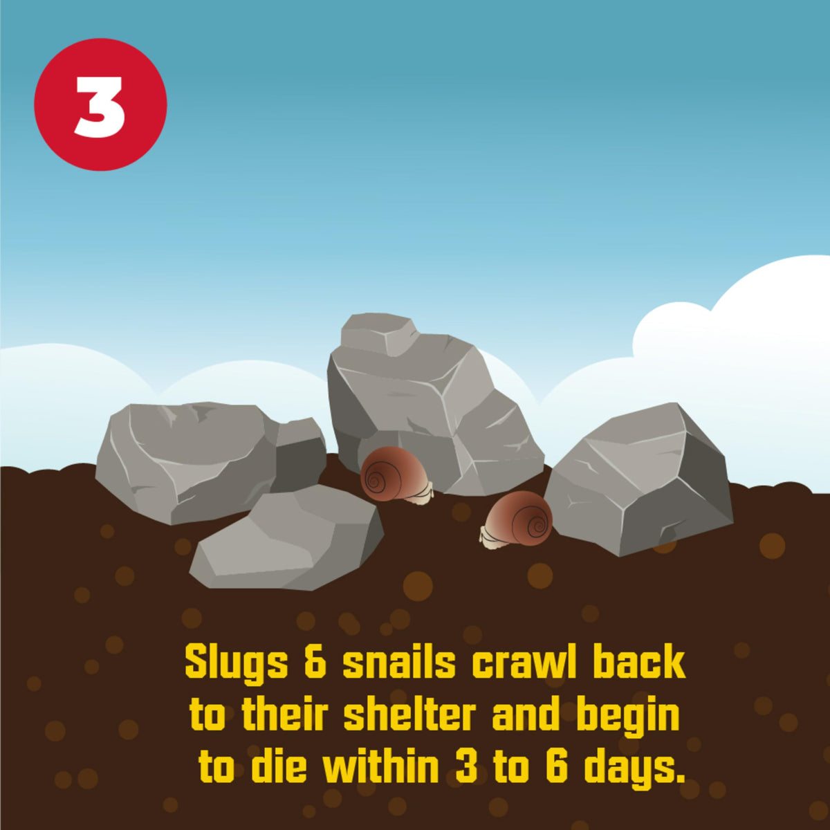 Corry's Slug and Snail Killer Bait 1.75 Pounds