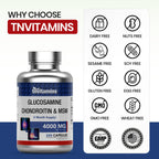 tnvitamins Glucosamine Chondroitin MSM, 240 Capsules, 4,000 mg Per Serving, Glucosamine Sulfate 2KCl, Joint Support Supplement for Men & Women