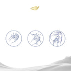 Buy now Dove Beauty Bar Gentle Skin Cleanser Moisturizing For Gentle Soft Skin Care Shea Butter More Moisturizing Than Bar Soap 3.75 oz 14 Bars at indiglob india