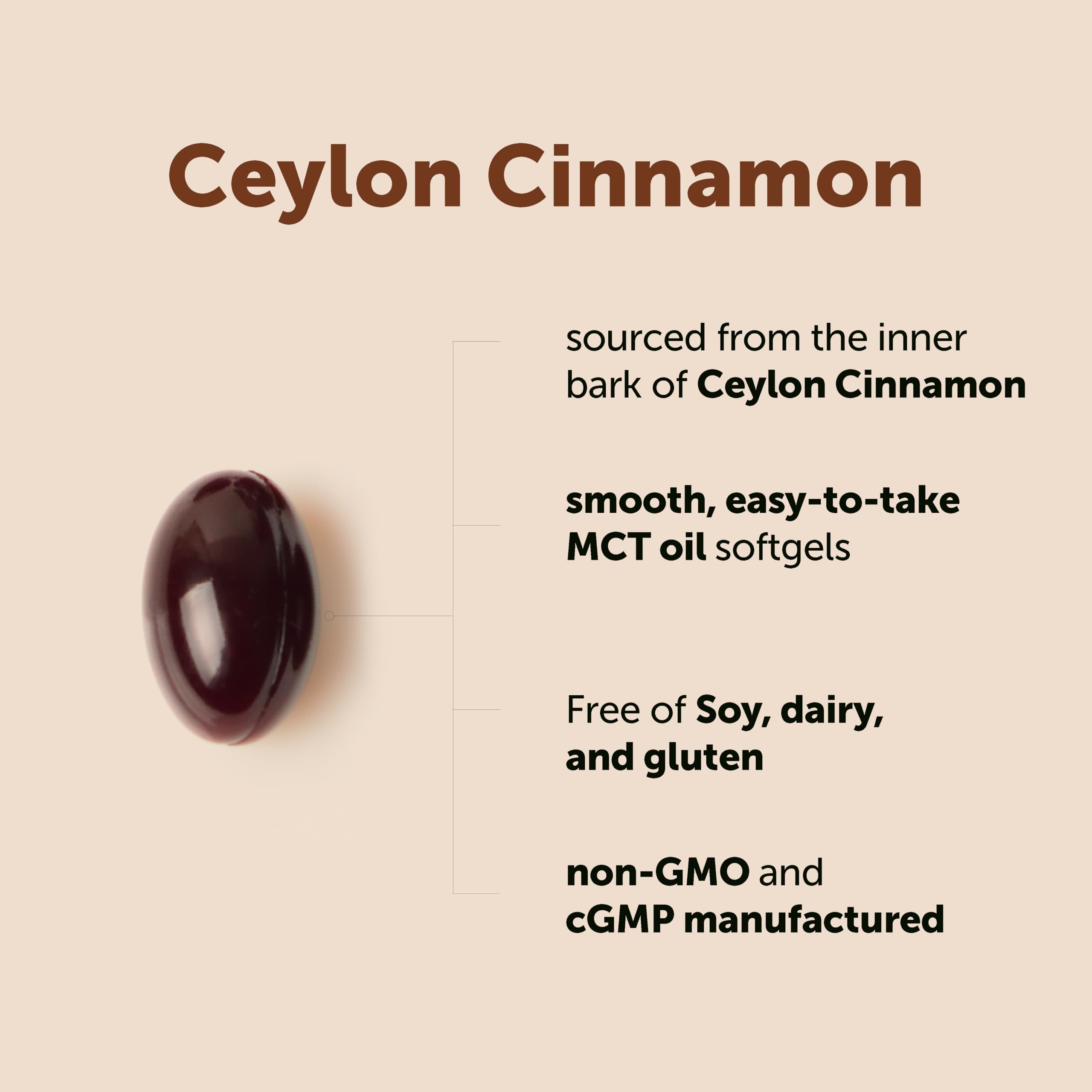 Micro Ingredients Ceylon Cinnamon, 300 Softgels | Cinnamon Supplements with MCT Oil | Non-GMO, Gluten Free