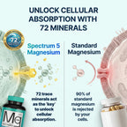 Spectrum 5 Magnesium | 5-in-1 Complex | + 72 Trace Minerals for Enhanced Absorption | Irish Sea Sourced | 500mg per Serving | Third Party Tested, GMP Certified