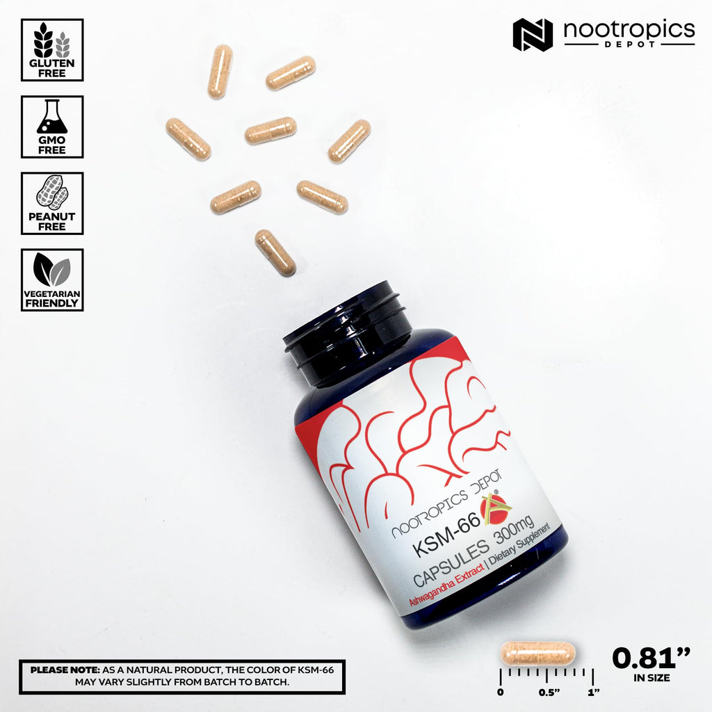 Nootropics Depot KSM-66 Ashwagandha Capsules | 300mg | 180 Count | Withania somnifera Extract | Ayurvedic Herb | Adaptogen Supplement | Stress + Promote Relaxation* | Energy, Memory + Focus*