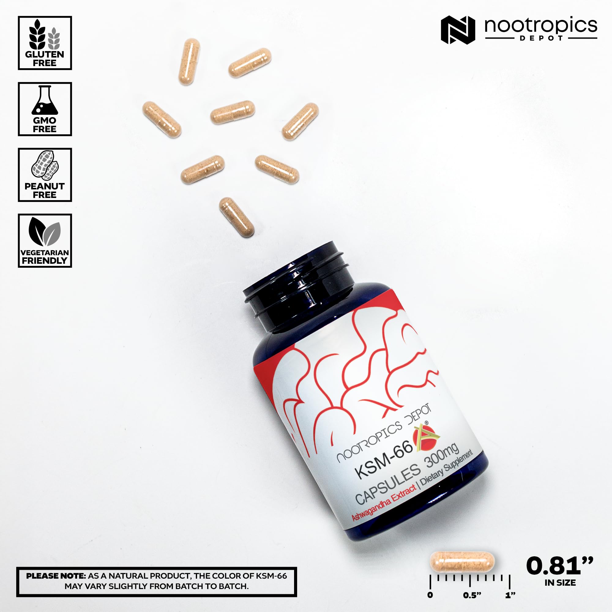 Nootropics Depot KSM-66 Ashwagandha Capsules | 300mg | 180 Count | Withania somnifera Extract | Ayurvedic Herb | Adaptogen Supplement | Stress + Promote Relaxation* | Energy, Memory + Focus*