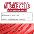 SoActive CoQ10® 250 mg: CoQ10 Phytosome with up to 9X Higher Absorption - Proven Cellular Delivery - Supports Cellular Energy Production (60 Capsules)