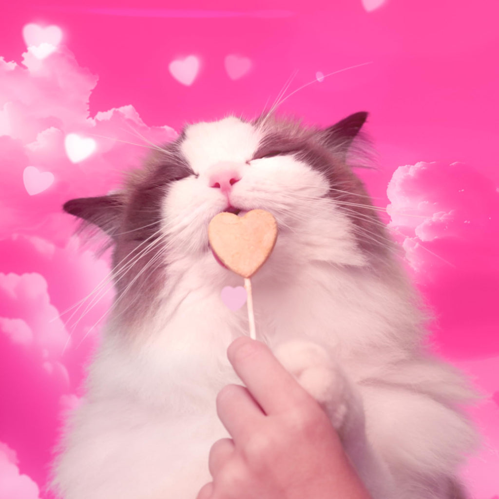 Bonkers Purrpops, Freeze Dried Chicken & Catnip Flavored Cat Treats, 32 Pieces