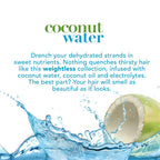 Buy now OGX Weightless Hydration + Coconut Water Shampoo, 13 Ounce Bottle, , Lightweight Hydrating Formula Sulfate-Free Surfactants at indiglob india