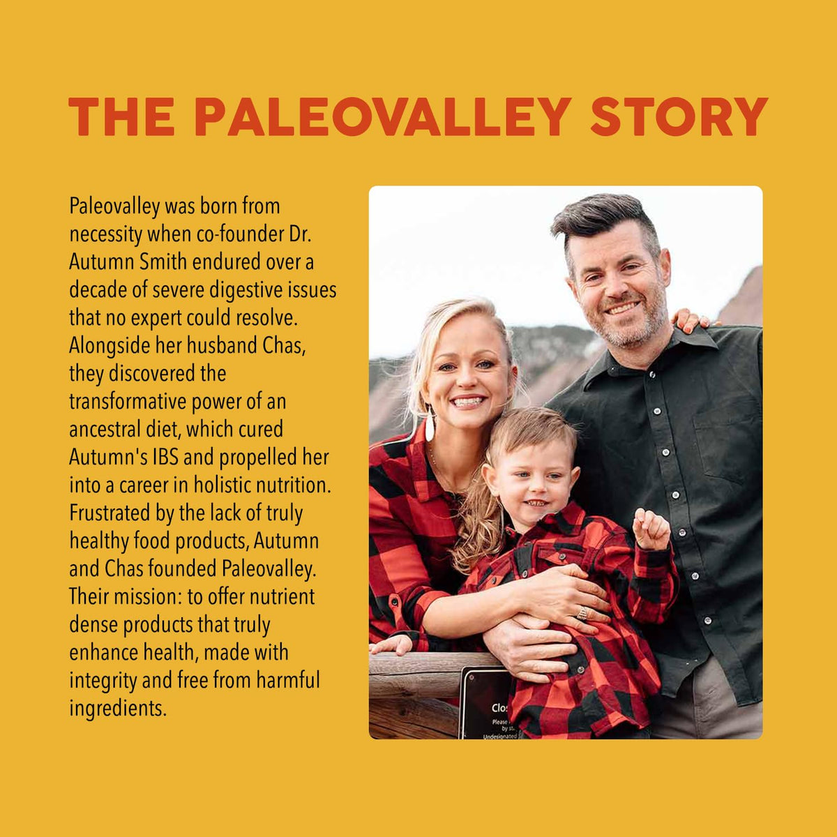 Paleovalley Superfood Golden Milk with Turmeric and Organic Mushrooms