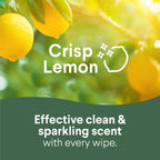 Buy now Clorox Disinfecting Cleaning Wipes, Bleach Free, Crisp Lemon, 35 Count (Pack May Vary) at indiglob india