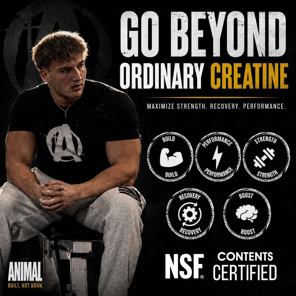 Animal Creatine Monohydrate Powder — Micronized for Muscle Recovery, Cellular Energy, and Daily Wellness — for Men and Women — Unflavored 300g