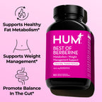 HUM Best of Berberine Supplement 1200mg, Metabolic & Gut Health, 60 Count | BioPerine, High Absorption, 2 Capsules Daily, Vegan, Non-GMO, Gluten Free