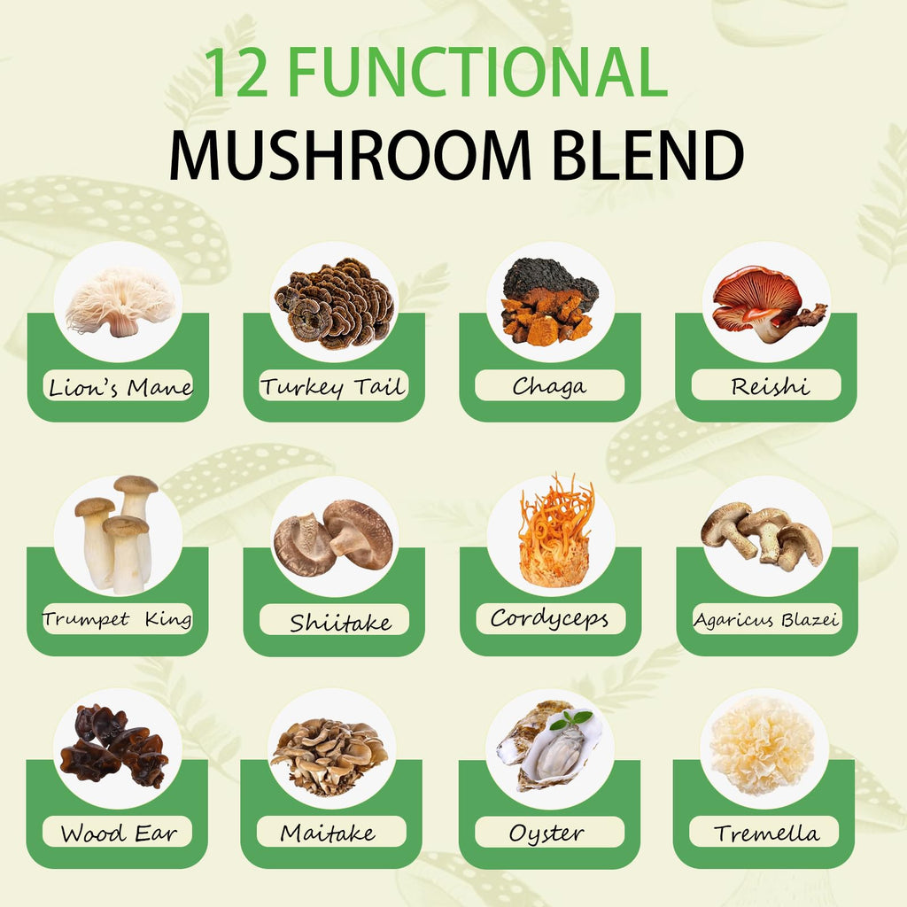 Mushroom Matcha with 12 Mushrooms with Lion's Mane, Chaga and Probiotics, Ceremonial Grade Matcha Powder for Focus, Digestion & Immunity - 30 Servings
