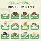Mushroom Matcha with 12 Mushrooms with Lion's Mane, Chaga and Probiotics, Ceremonial Grade Matcha Powder for Focus, Digestion & Immunity - 30 Servings