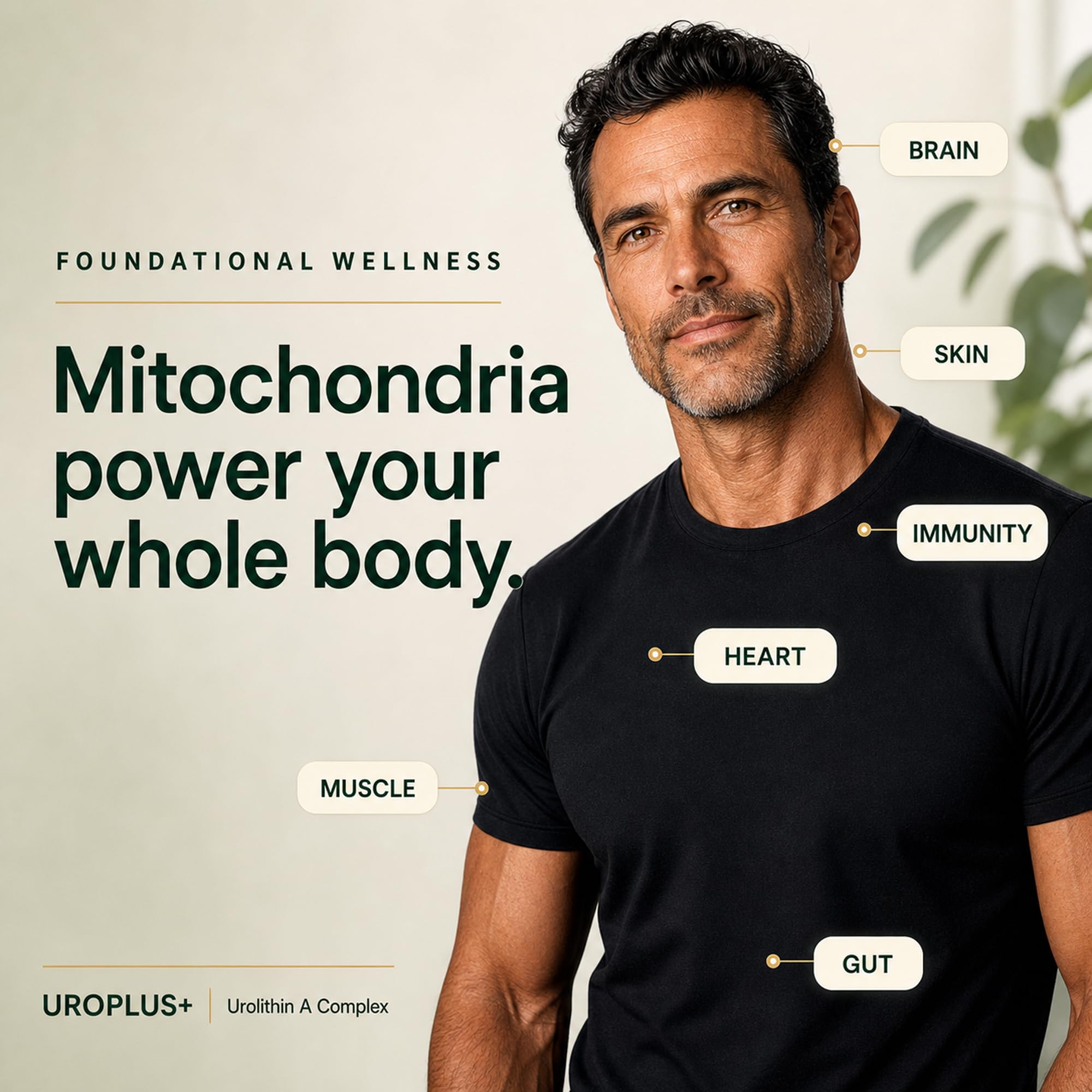 Liposomal Urolithin A Complex, 1250mg 10-in-1 with NAD+, NMD, & Resveratrol | Mitochondrial Energy, Cellular Health, Healthy Aging & Muscle Recovery Support