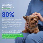 Same for Dogs 120 Tablets - Liver Supplement, Brain & Mood Support