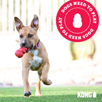 KONG Tug Toy, Natural Rubber Dog Toy for Tug of War, for Medium/Large Dogs