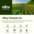 VEV Oil of Oregano with Black Seed Oil & Moringa, Organic, 300 Softgels | Aceite de Orégano, Carvacrol-Rich, Opaque Airtight Packaging