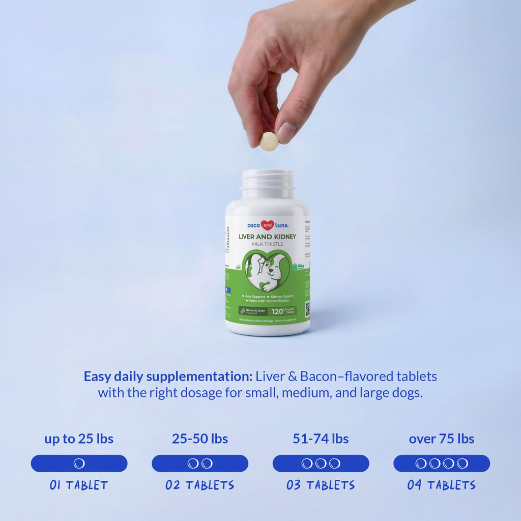 Milk Thistle for Dogs 120 Tablets - Liver, Kidney & Detox Support | Silymarin with Choline & L-Arginine. Supports liver detox, kidney function & hepatic health with EPA & DHA.