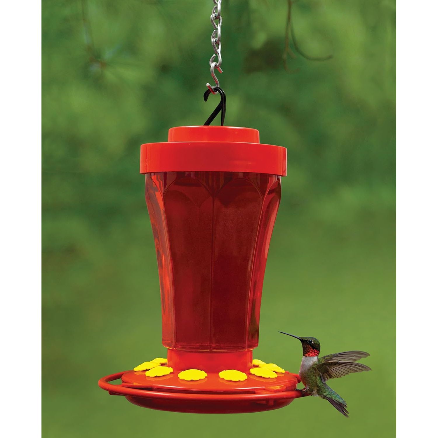 Buy now First Nature 3090 32-ounce Hummingbird Flower Feeder at indiglob india