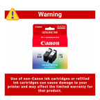 Canon PG-295 / CL-286 Genuine Ink Value Pack (2 Cartridges), Compatible with TR7120, TS6520, TS4320