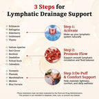 26-in-1 Liposomal Lymphatic Drainage Drops with Turmeric,Echinacea | Vitamins, Dandelion, Zeolite for Swelling, Bloating, Immune, Lung Support, Vegan, Alcohol-Free, Strawberry Flavor, 2 fl oz