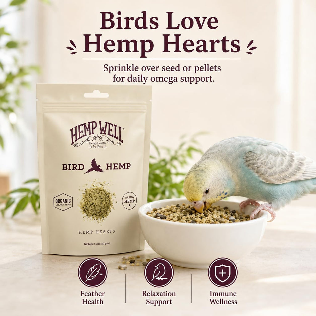 Hemp Well Organic Hemp Hearts –Reduces Feather Plucking, Promotes Relaxation, Immune Support, Organically Sourced, USA Grown, GMO Free – 1 Pound Bag