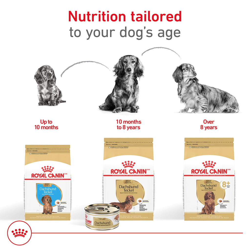 ROYAL CANIN Dachshund 8+ Adult Dry Dog Food, 3 lb Bag