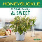 Buy now MRS. MEYER'S CLEAN DAY Hand Soap, Made with Essential Oils, Biodegradable Formula, Honeysuckle, 12.5 fl. oz - Pack of 3 at indiglob india
