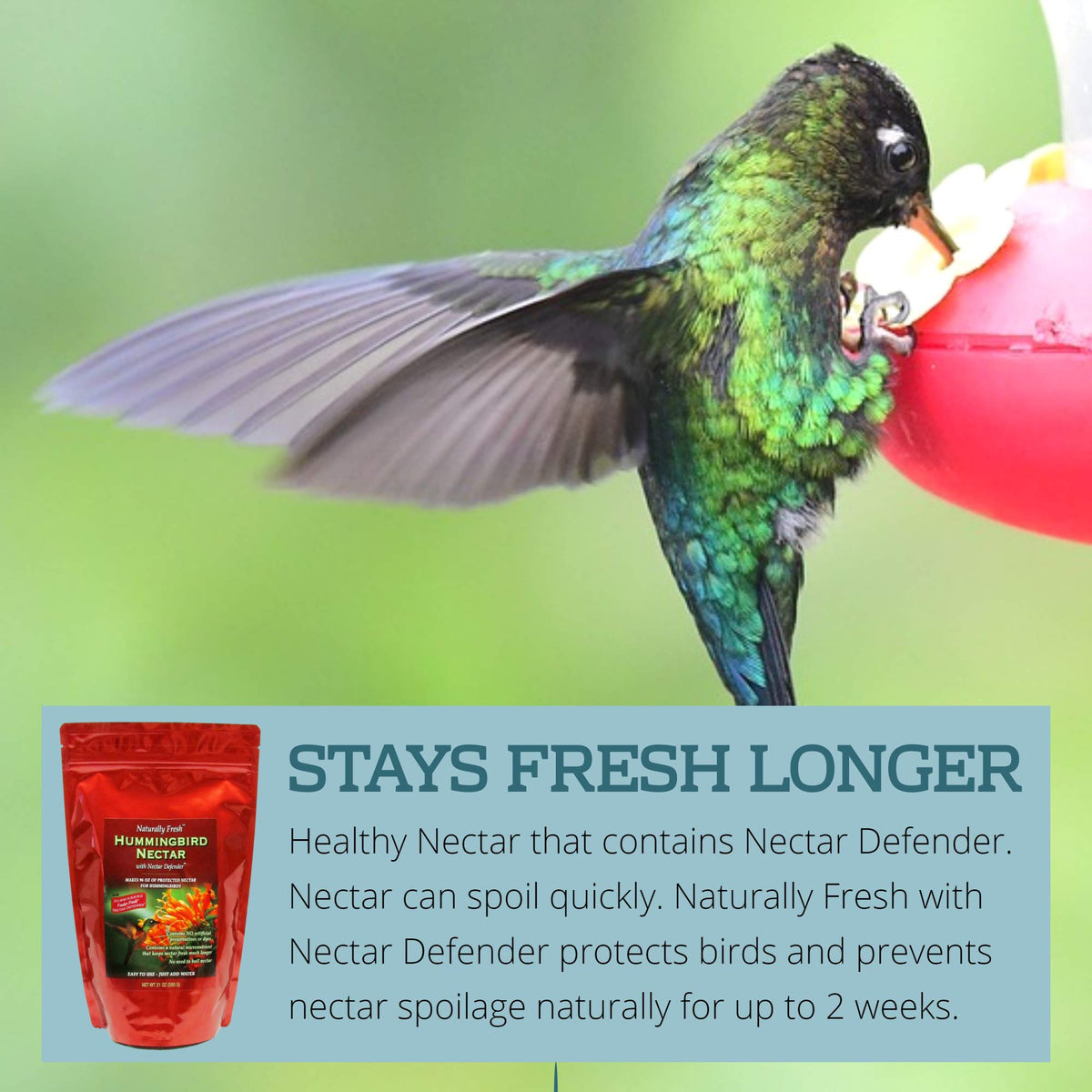 Naturally Fresh Hummingbird Nectar Powder with Nectar Defender, 2-Pack