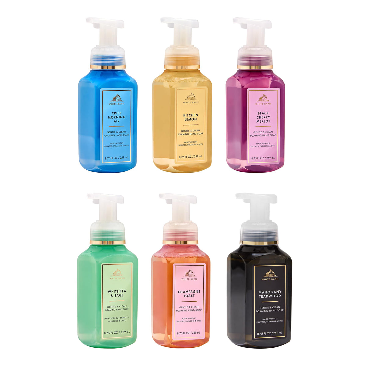 Bath & Body Works Gentle & Clean Foaming Hand Soap, 6-Fragrance Variety Pk