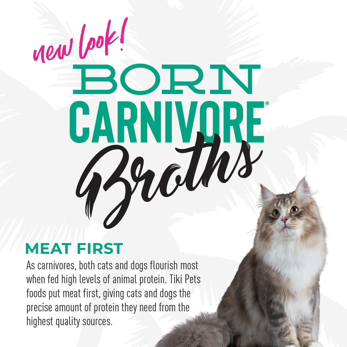 Tiki Cat Born Carnivore Broths, Tuna Cat Food Topper, 1.3 oz. Pouch 12 Pack