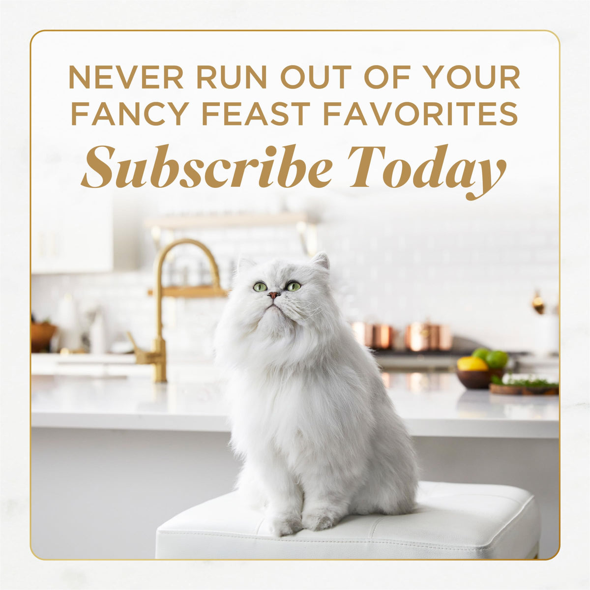 Fancy Feast Purina Natural Cat Treats Variety Pack - 5 Pack, 10 ct Pouches